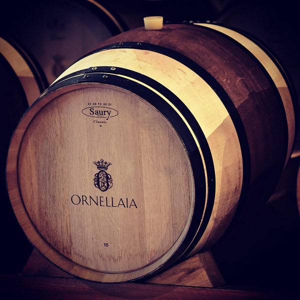 主圖(圖片說明請修改)