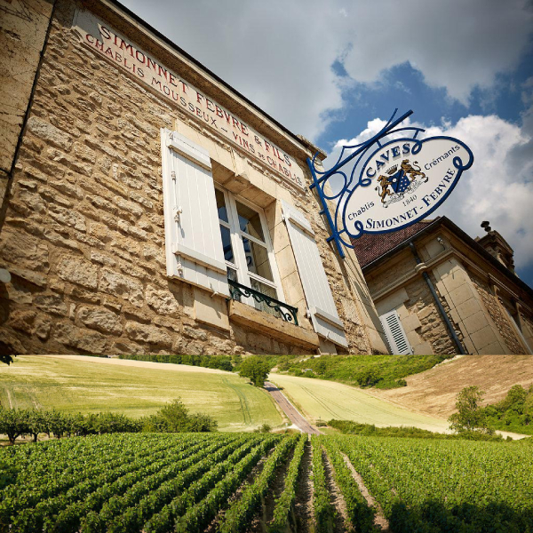 PetitCalon