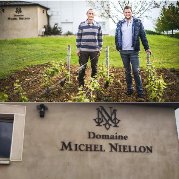 MichelNiellon