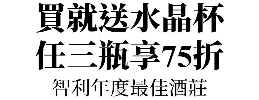 智利年度最佳酒莊
