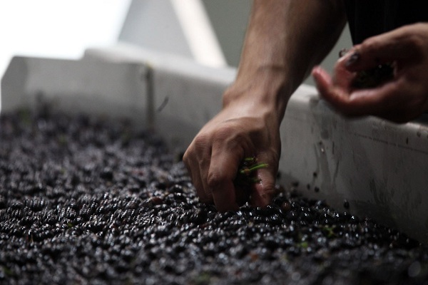 主圖(圖片說明請修改)