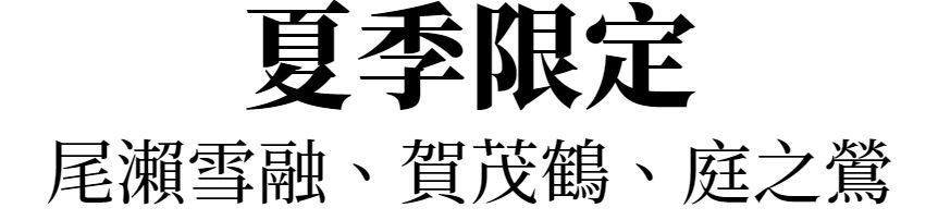 主標文字