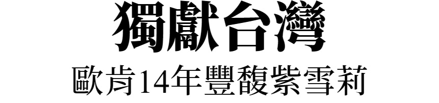 主標文字