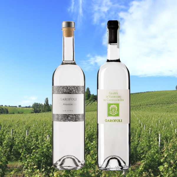 Sassicaia_Grappa