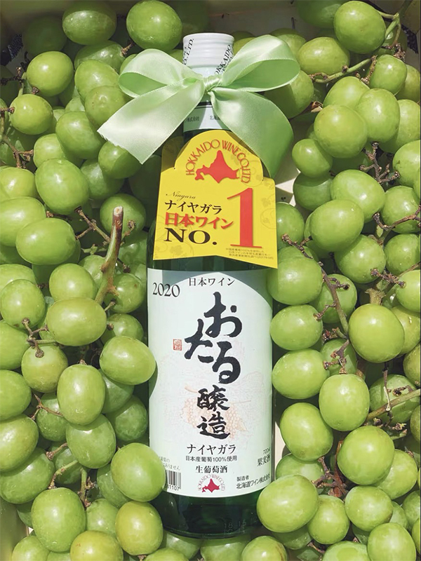 主圖(圖片說明請修改)