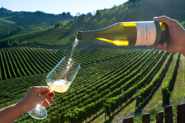 主圖(圖片說明請修改)