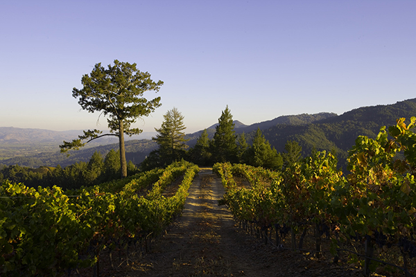 Dom Perignon 2008 Legacy Edition