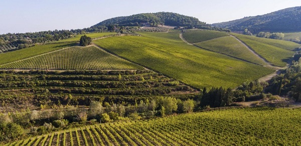 Tignanello
