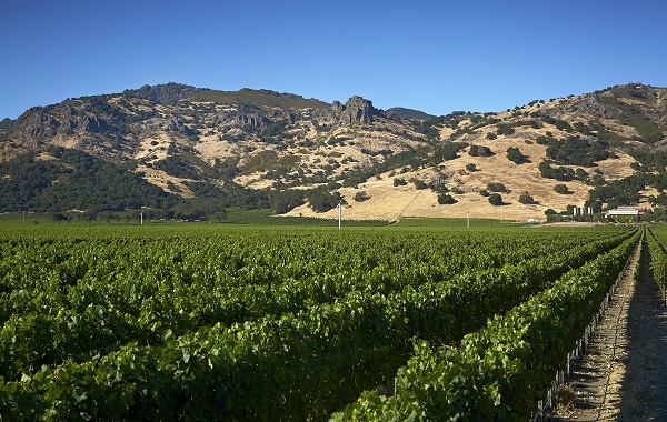 Clos du val
