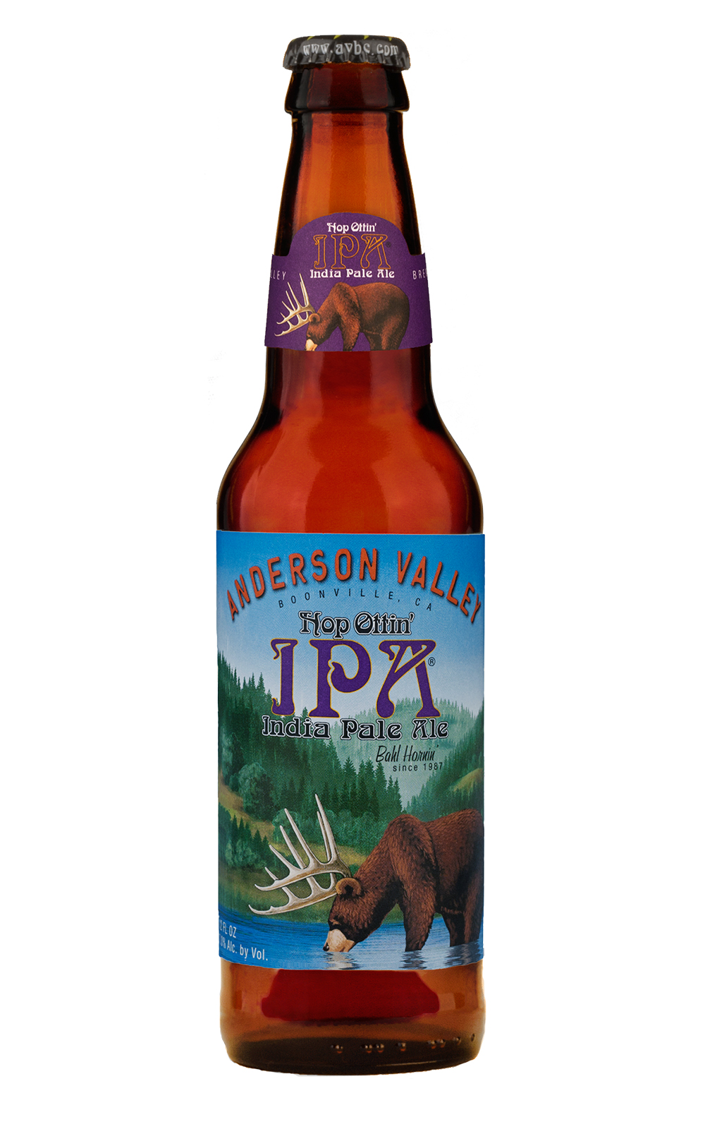 Anderson Valley Brewing Company Hop Ottin IPA 美國安德森山谷啤酒廠 IPA啤酒