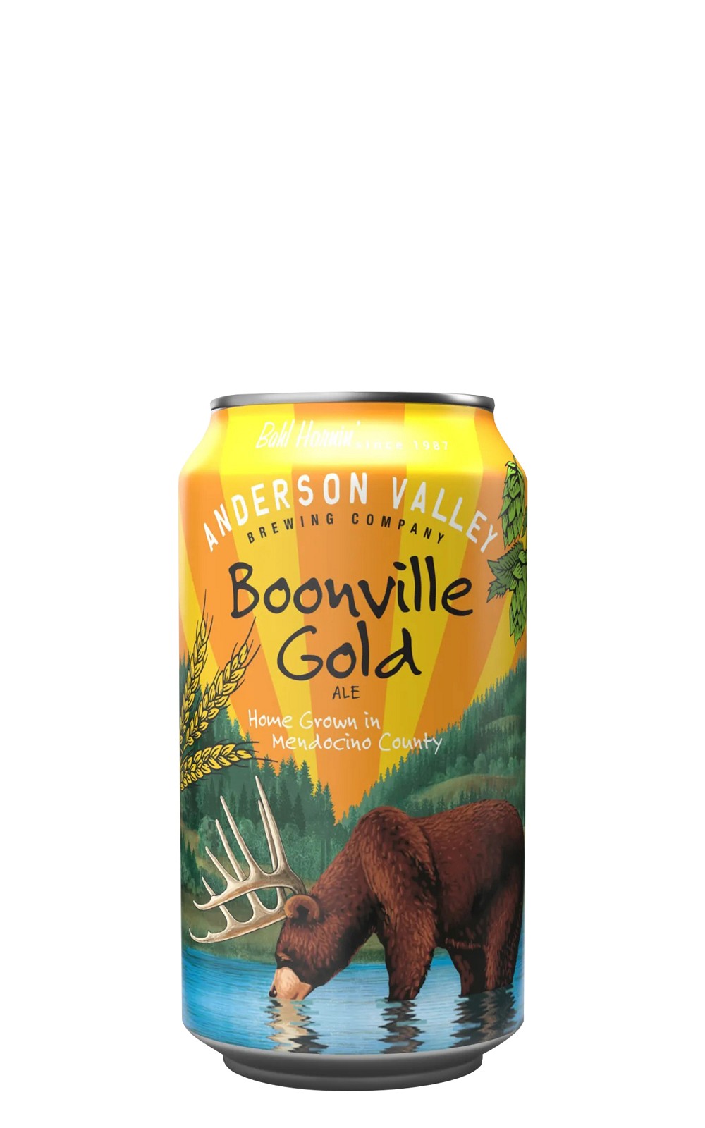 Anderson Valley Brewing Company Boonville Gold Ale 美國安德森山谷啤酒廠 金色愛爾啤酒