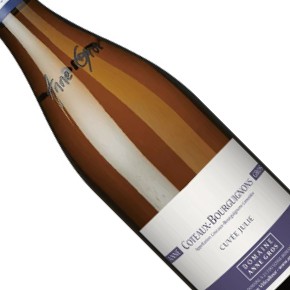 Domaine Anne Gros-Coteaux-Bourguignons "Cuvée Julie" Blanc