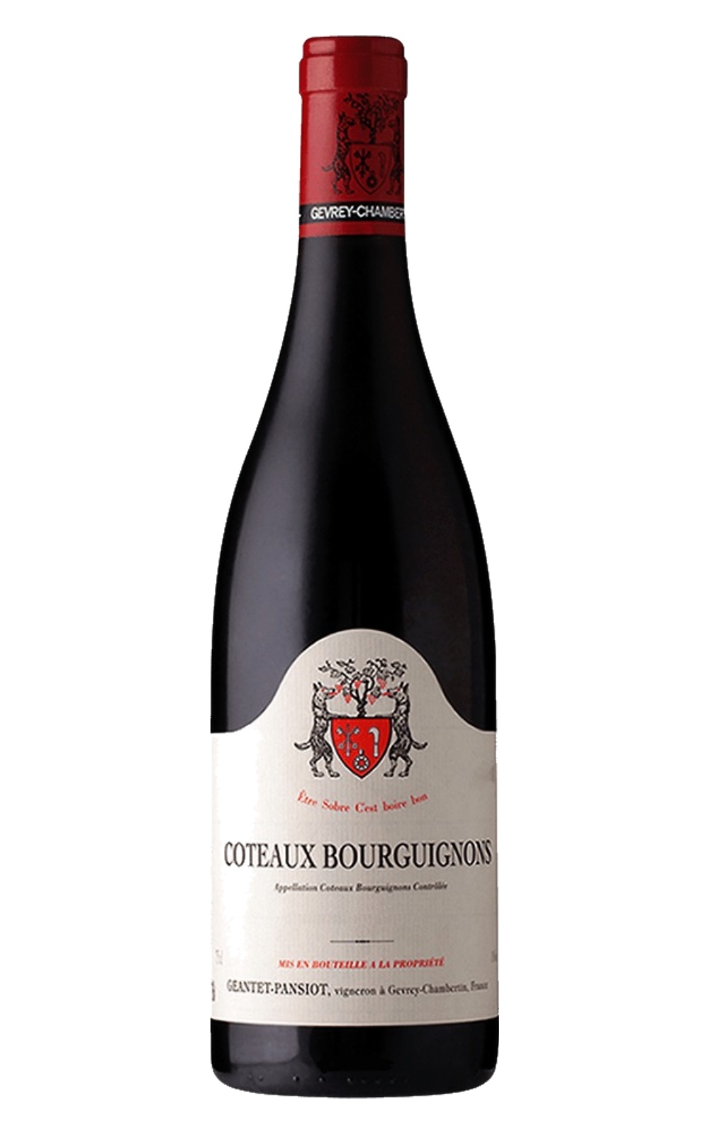 Domaine Geantet Pansiot Coteaux Bourguignons Rouge 2022 強堤 帕西雍酒莊 布根地丘紅酒