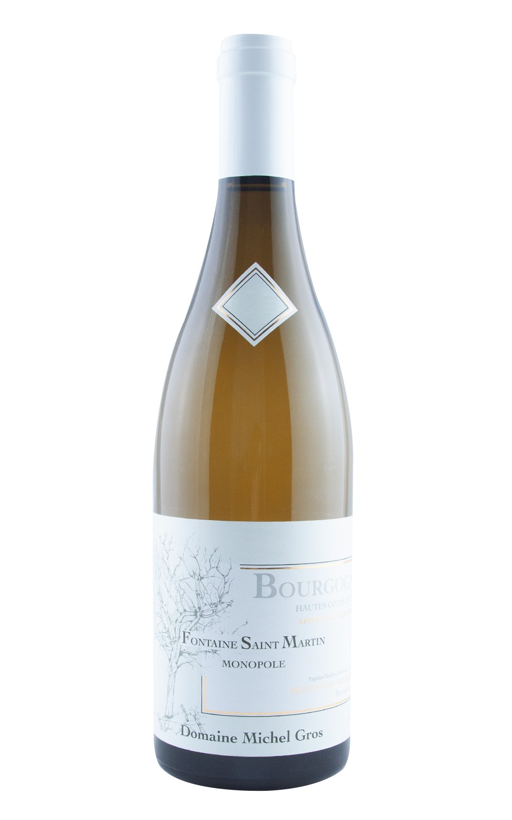 Domaine Michel Gros Bourgogne Hautes Cotes de Nuits Fontaine Saint Martin Monopole Blanc 2021 米歇爾 葛羅酒莊 布根地 上夜丘 聖馬丁之泉 獨占園白酒