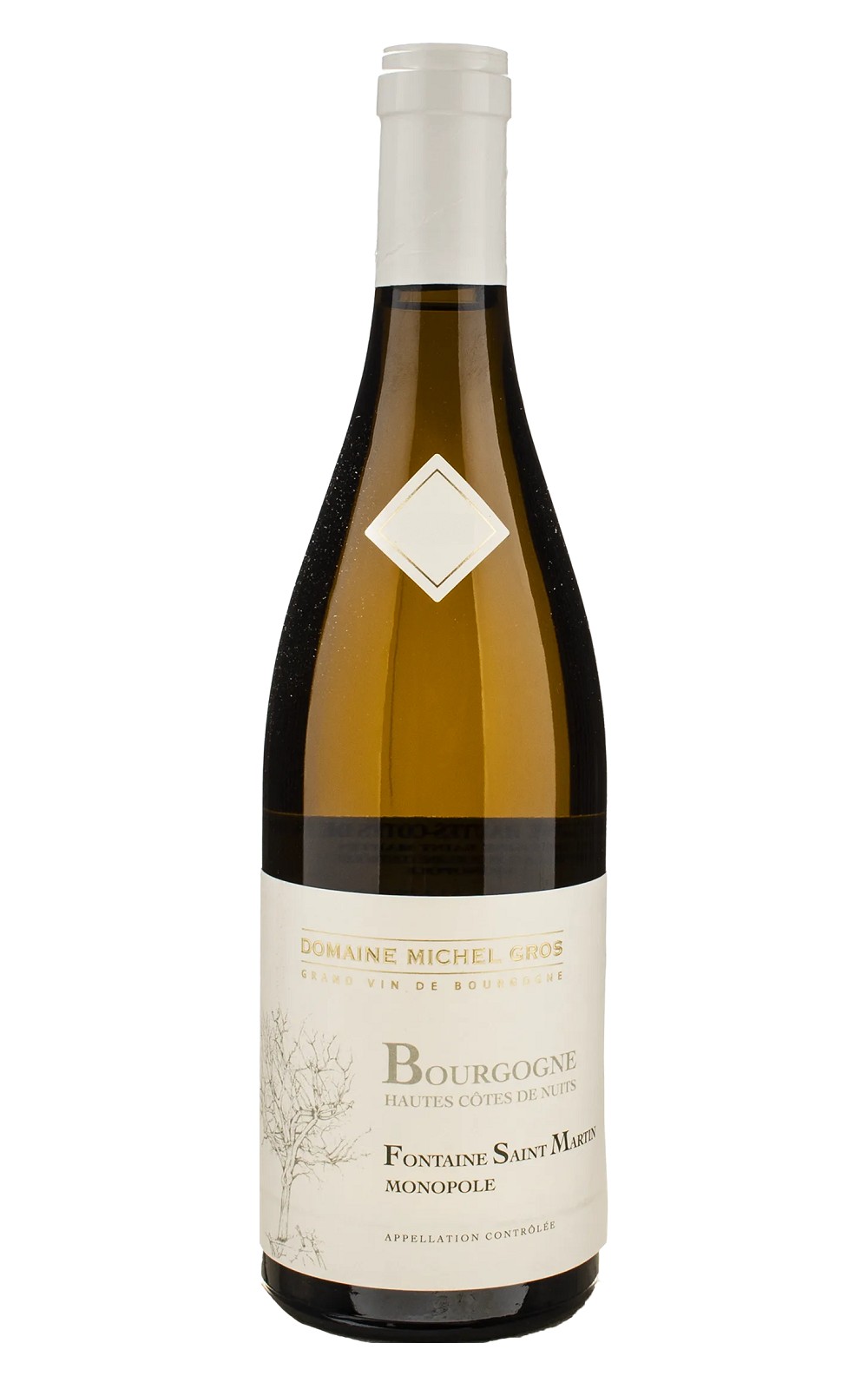 Domaine Michel Gros Bourgogne Hautes Cotes de Nuits Fontaine Saint Martin Monopole Blanc 2021 米歇爾 葛羅酒莊 布根地 上夜丘 聖馬丁之泉 獨占園白酒
