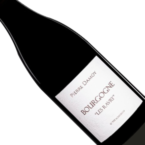 Domaine Pierre Damoy-Bourgogne "Les Ravry" Rouge