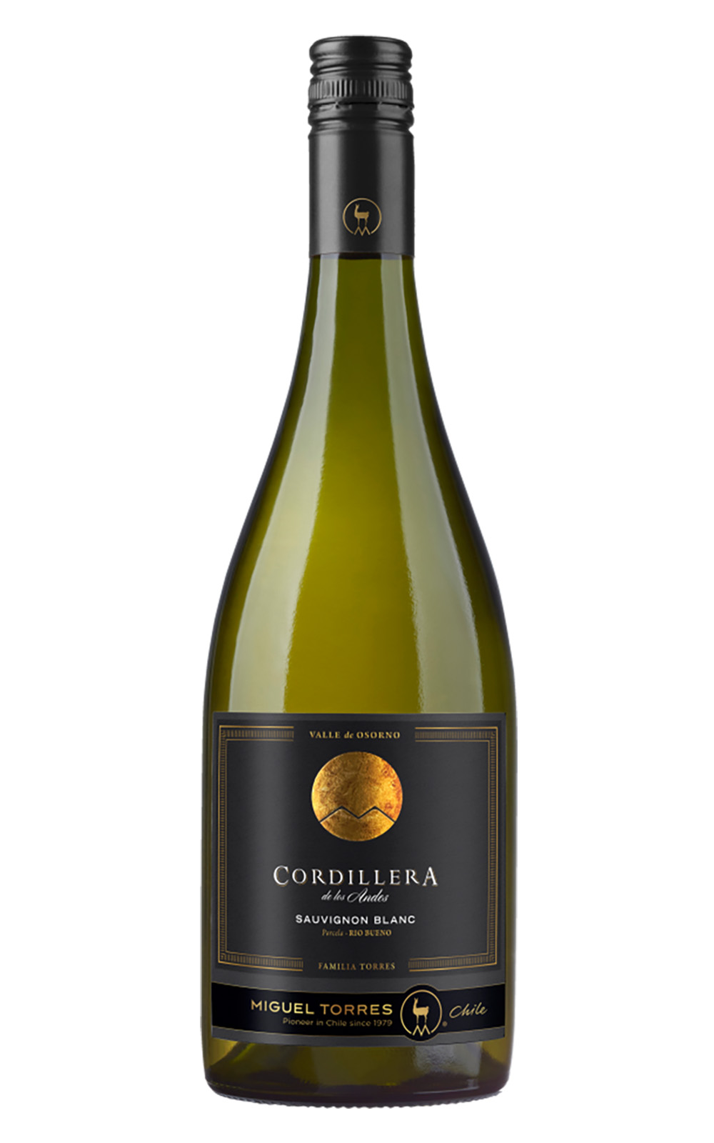 Miguel Torres Chile Cordillera Sauvignon Blanc 2022 多利士智利酒廠 卡迪利拉系列 白蘇維濃白酒