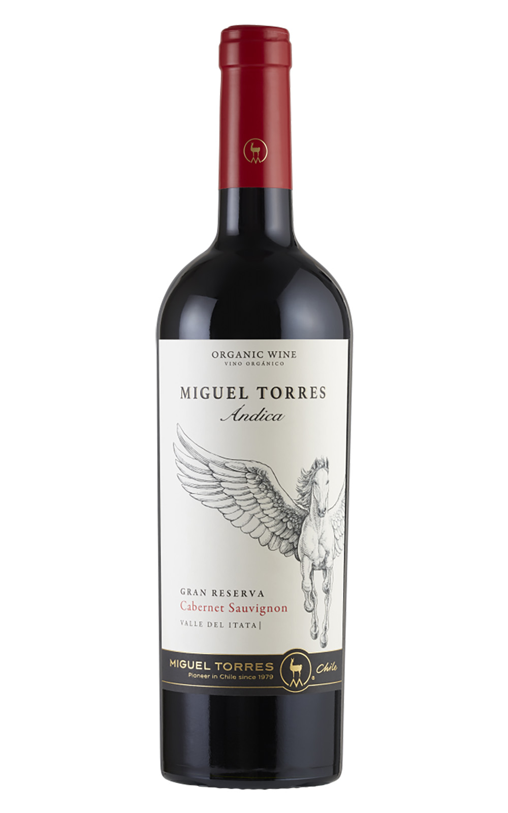 Miguel Torres Chile Andica Cabernet Sauvignon 2022 多利士智利酒廠 安迪卡系列 卡本內蘇維濃紅酒