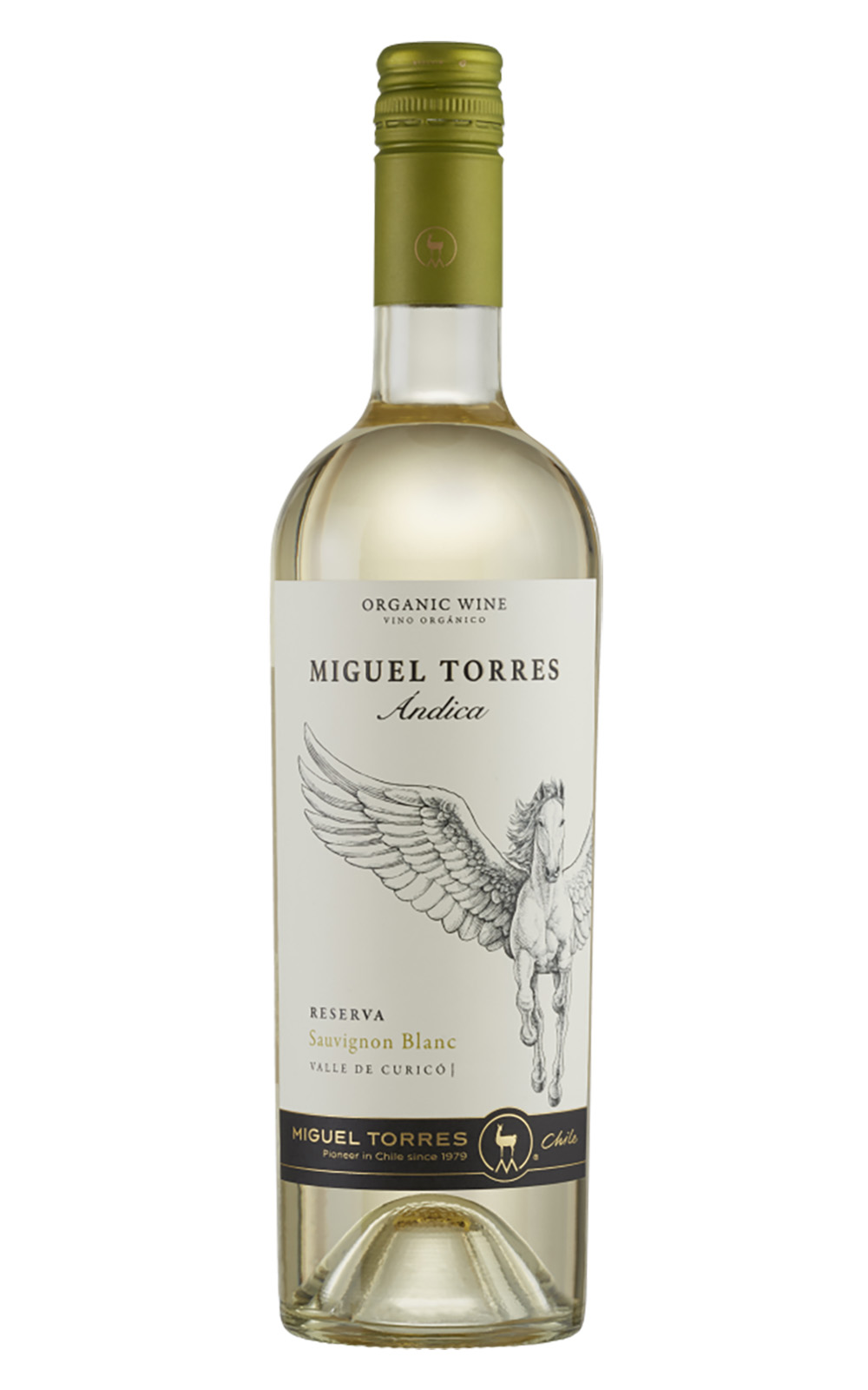 Miguel Torres Chile Andica Sauvignon Blanc 2023 多利士智利酒廠 安迪卡系列 白蘇維濃白酒