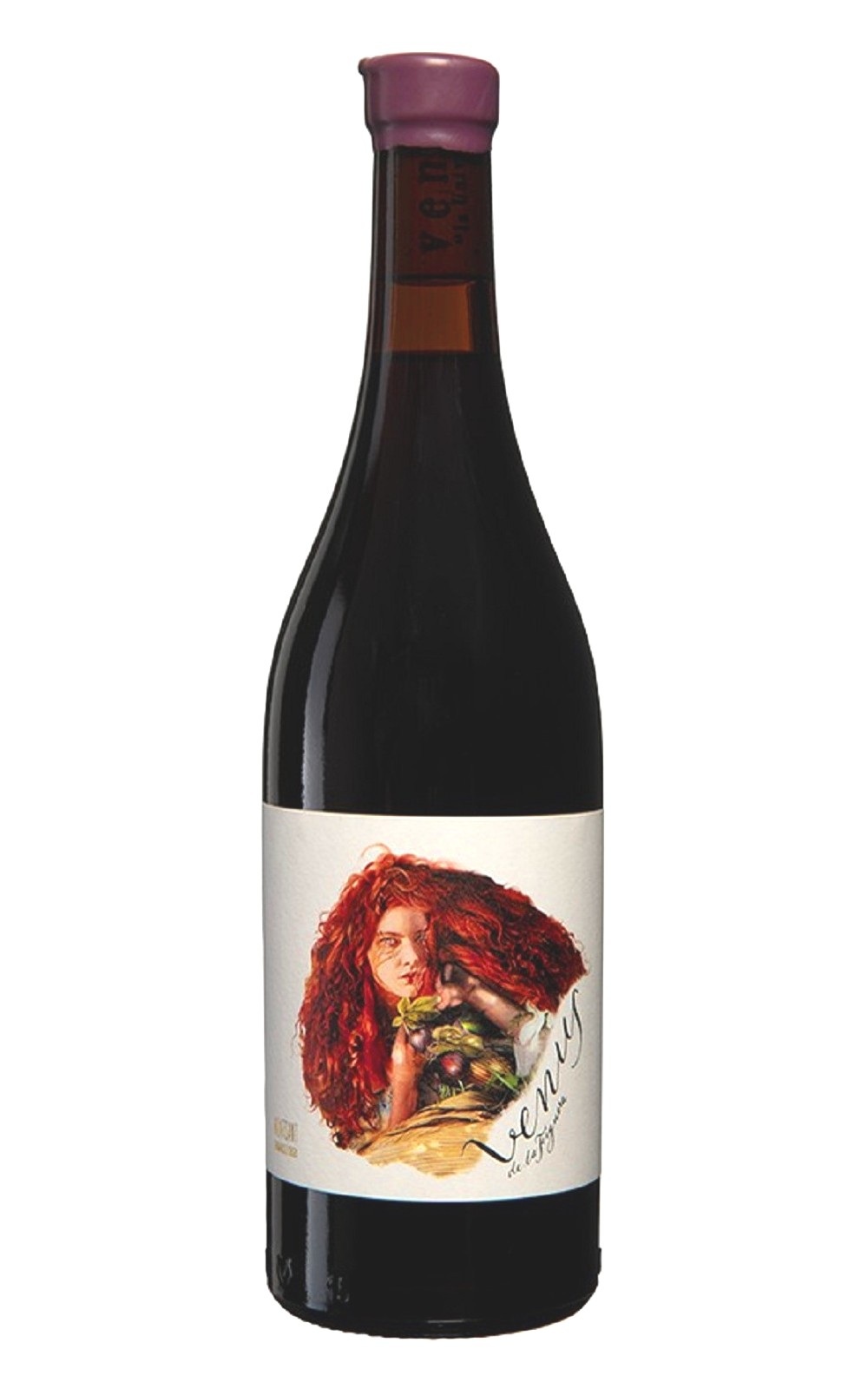 Venus la Universal Venus de la Figuera Montsant Tinto 2016 維那斯酒莊 維那斯 紅髮費吉拉 蒙桑特紅酒