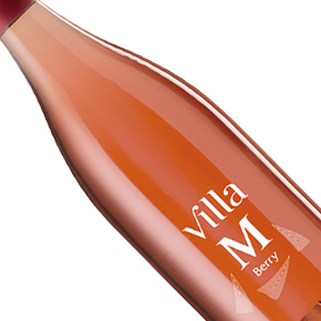 Gianni Gagliardo-Villa M Berry