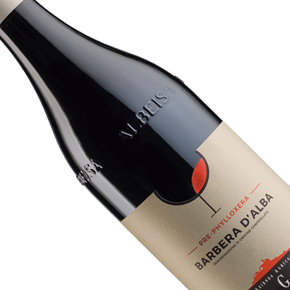 Elvio Cogno-"Pre-Phylloxera" Barbera d'Alba