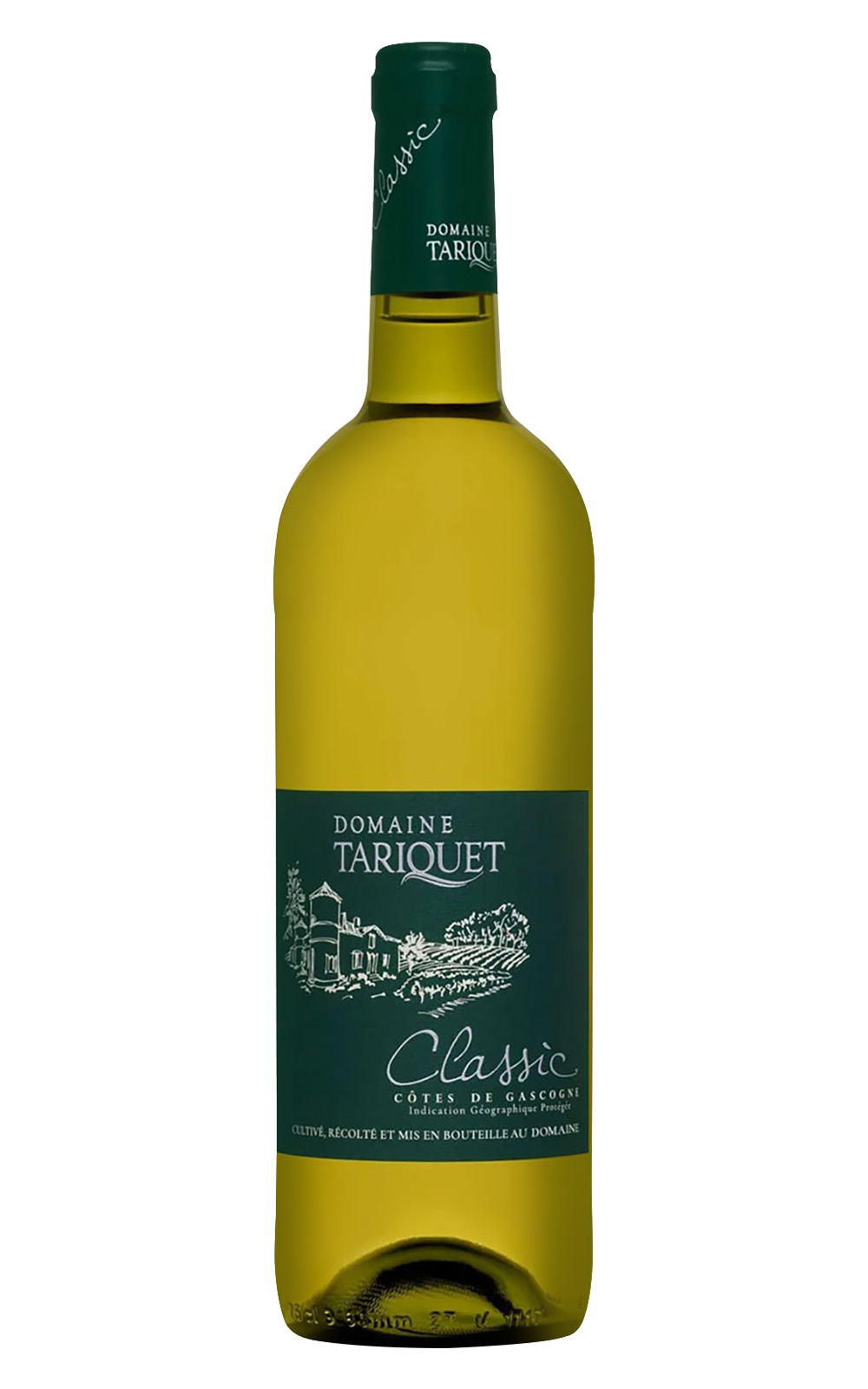 Domaine du Tariquet Classic 2023 塔麗格酒莊 經典 白酒