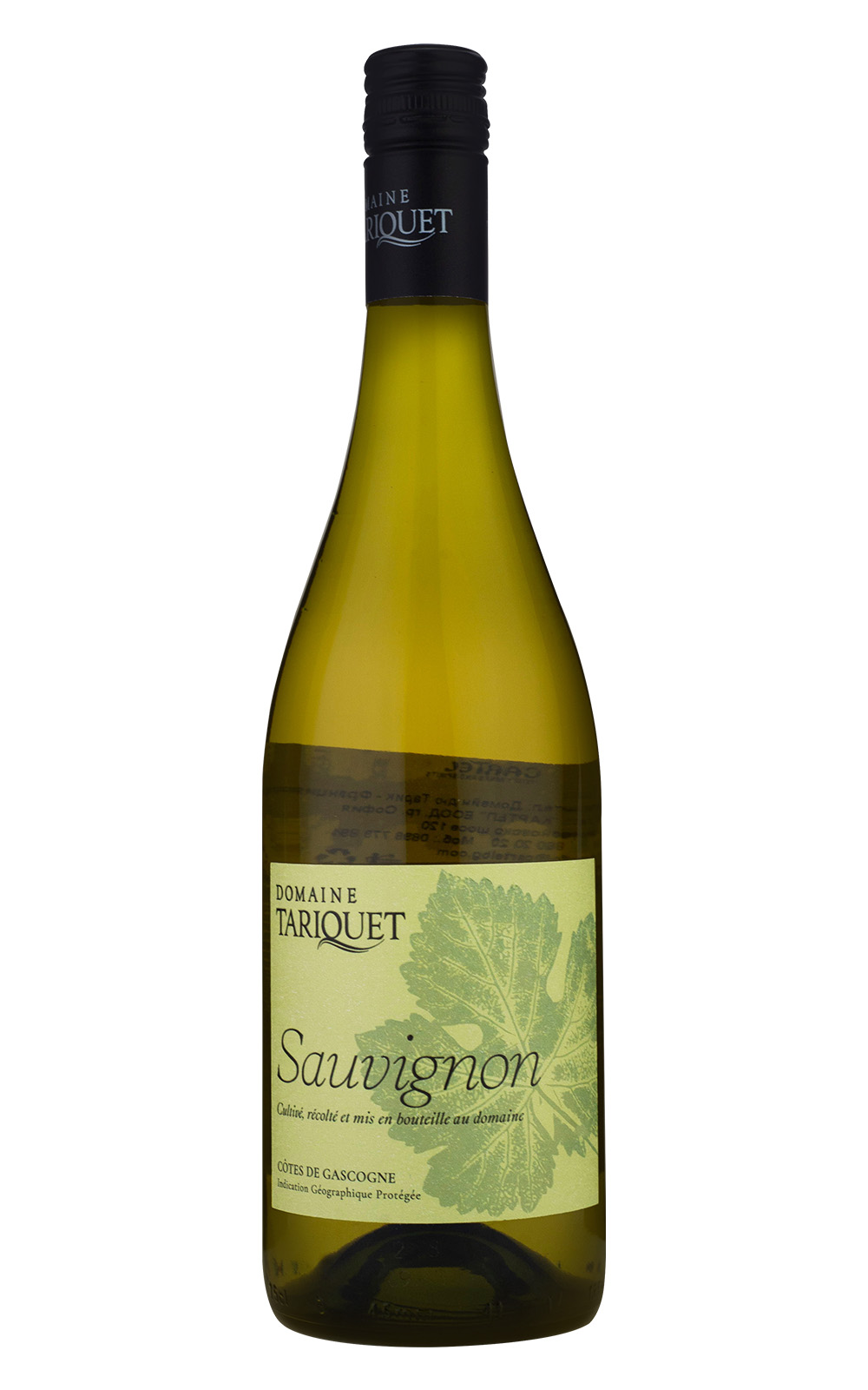 Domaine du Tariquet Sauvignon 2023 塔麗格酒莊 蘇維濃白酒