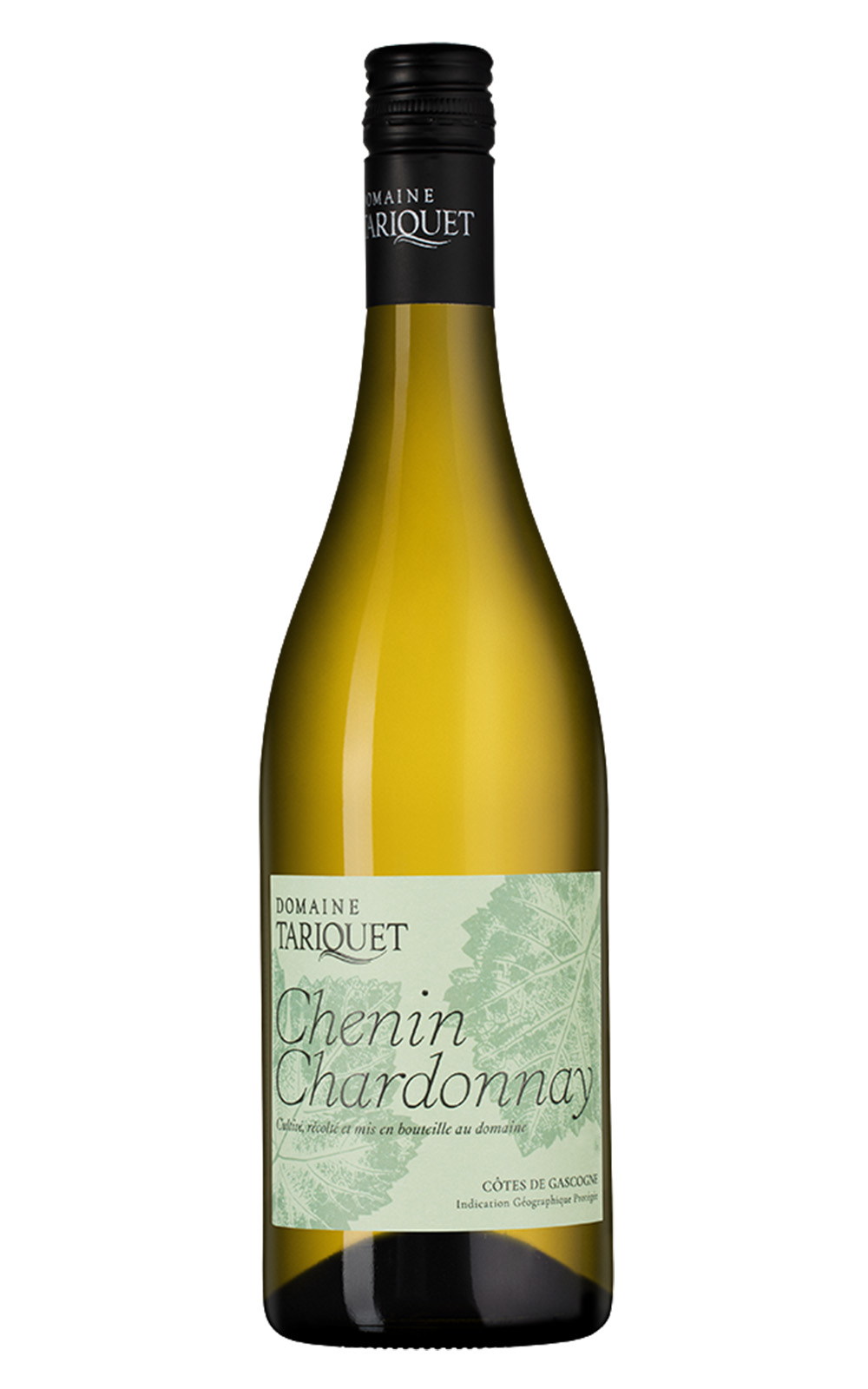 Domaine du Tariquet Chenin Chardonnay 2023 塔麗格酒莊 梢楠 夏多內白酒