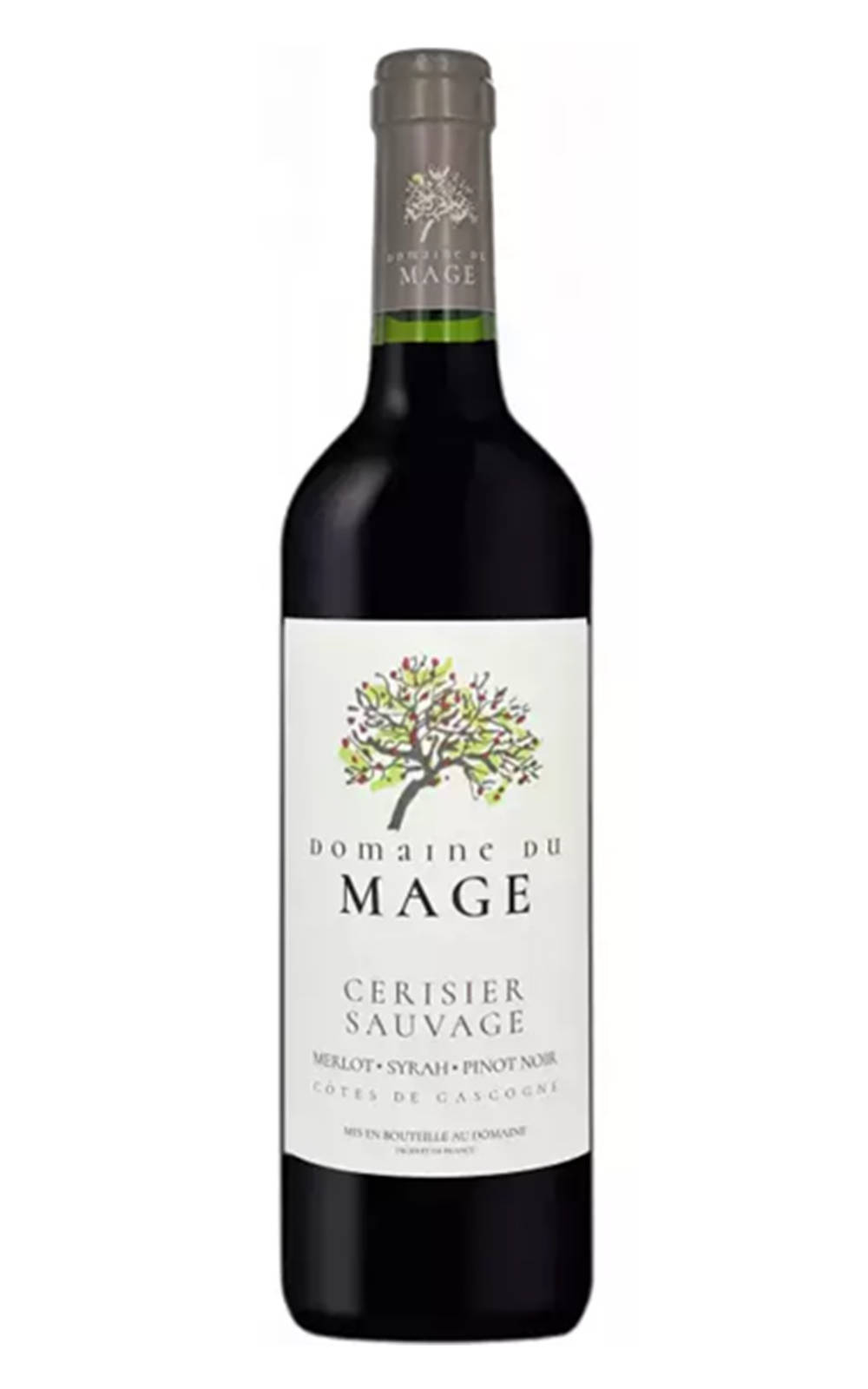 Domaine du Mage Cerisier Sauvage Cotes de Gascogne 2021 Domaine du Mage 野櫻桃 紅酒