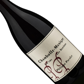 Philippe Pacalet-Chambolle-Musigny 1er Cru "Les Sentiers"