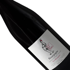 Vini Viti Vinci-Bourgogne "Les Rouquins" Rouge