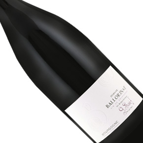 Domaine Ballorin & F-Bourgogne "G Soif" Pinot Noir