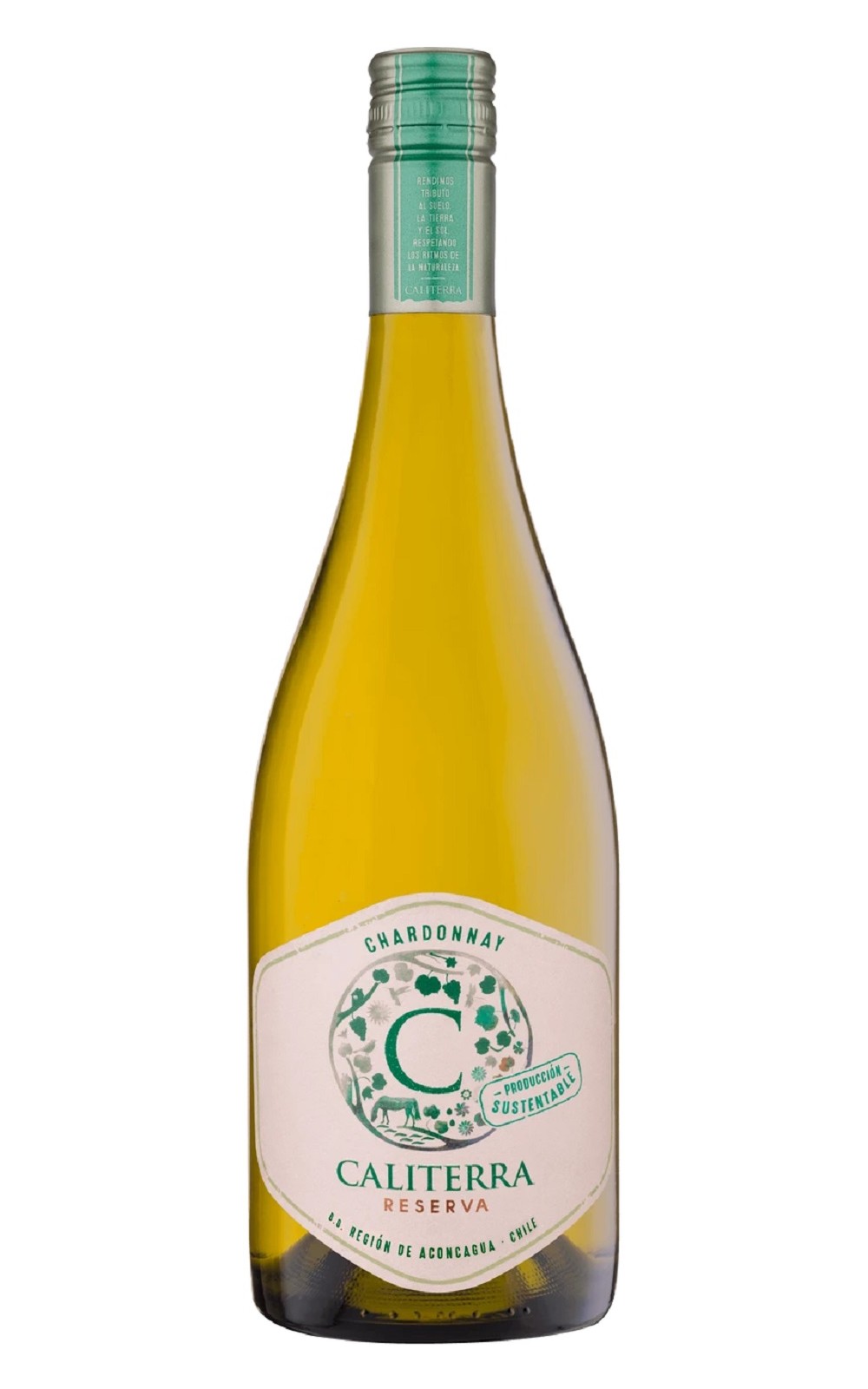 Caliterra Reserva Chardonnay 2024 卡利德拉酒莊 陳釀系列 夏多內白酒