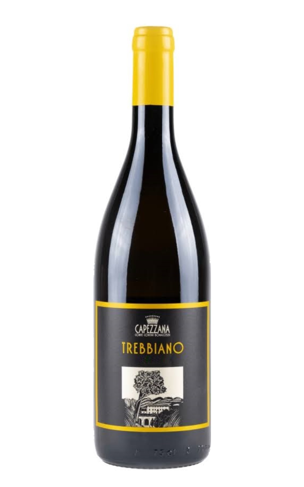 Capezzana Trebbiano 2024 卡培拉娜酒莊 崔比亞諾白酒