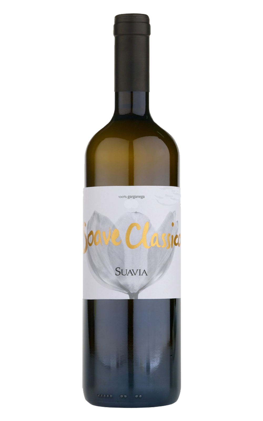 Suavia Soave Classico 2019 索維亞酒莊 古典索亞維白酒