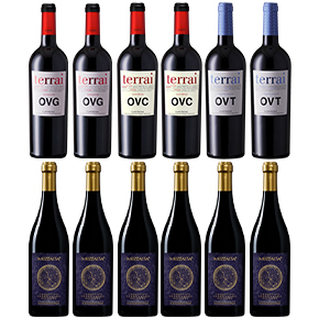 iCheers Special Set-Mezzatia + Bodegas Covinca Set (Mezzatia Primitivo Negroamaro*6 + Covinca OVC*2 