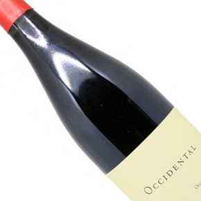 Occidental-"Occidental Station Vineyard" Pinot Noir