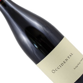 Occidental-"Bodega Ridge Vineyard" Pinot Noir