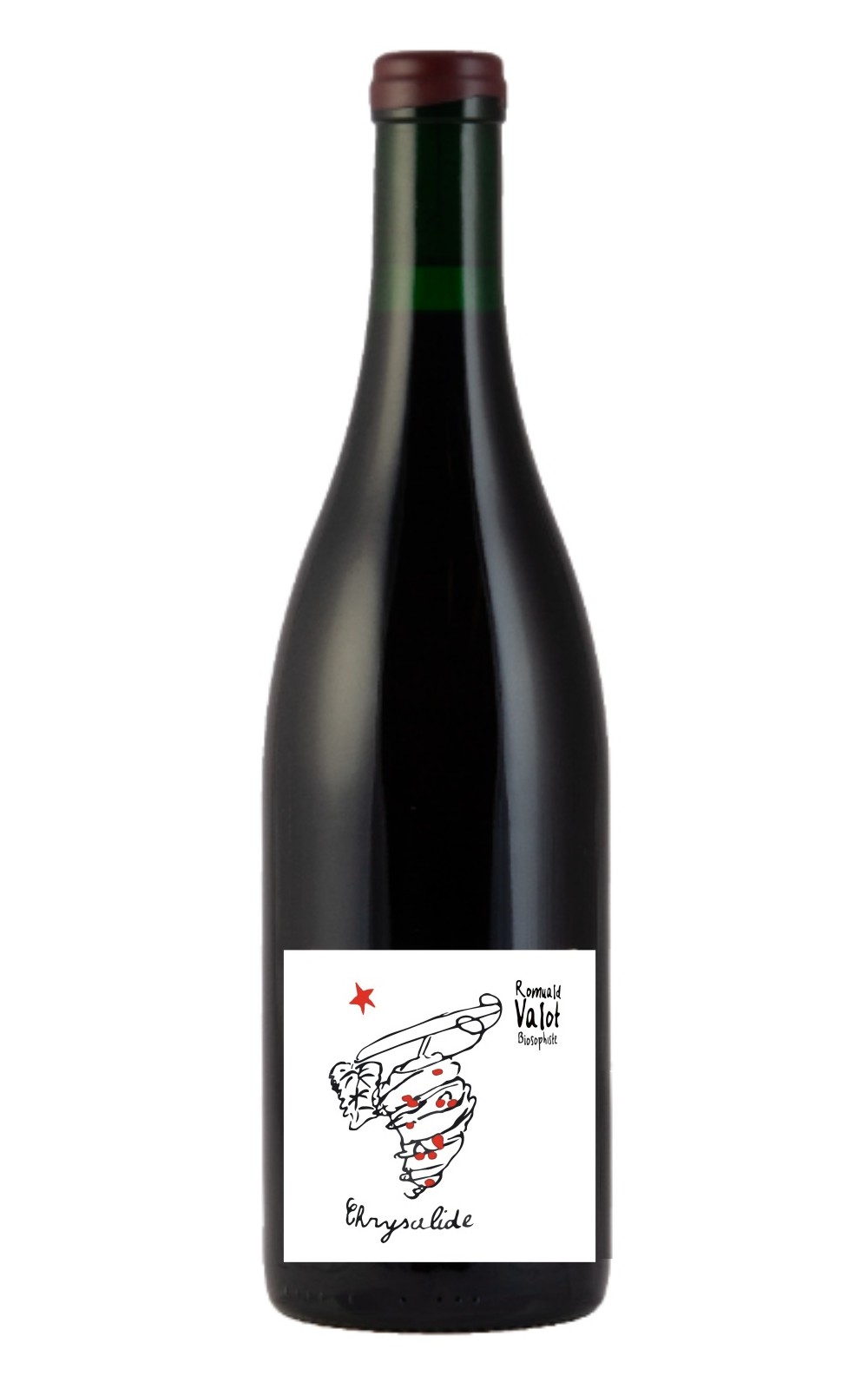 Romuald Valot Beaujolais Nouveau 2019 侯慕亞德 瓦洛酒莊 薄酒萊新酒