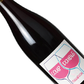 Domaine Thillardon-Coup Double