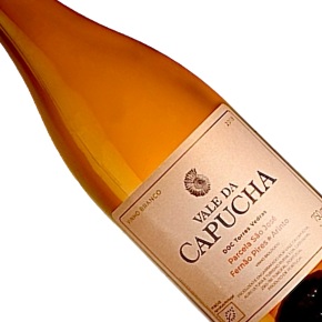 Vale da Capucha-Parcela "Sao Jose" Branco