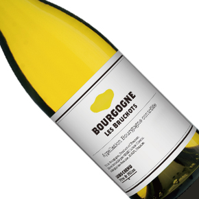Domaine Louis Chenu Père et Filles-Bourgogne "Les Bruchots" Blanc