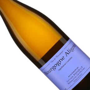 Domaine Sylvain Pataille-Bourgogne Aligoté
