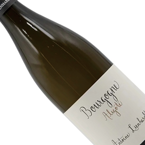 Domaine Antoine Lienhardt-Bourgogne Aligoté