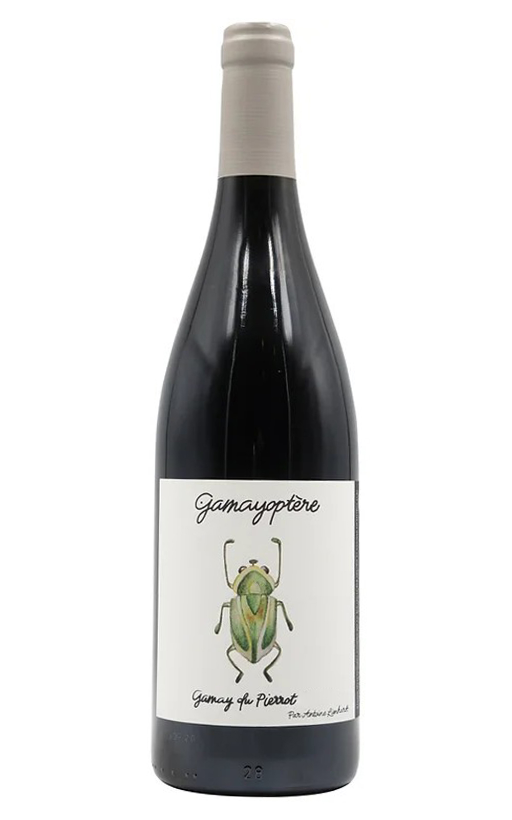 Domaine Antoine Lienhardt Coteaux Bourguignons Gamayoptere Rouge 2020 安東 林恩哈特酒莊 布根地丘 加美 紅酒