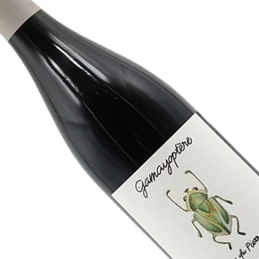 Domaine Antoine Lienhardt-Coteaux Bourguignons "Gamayoptère" Rouge