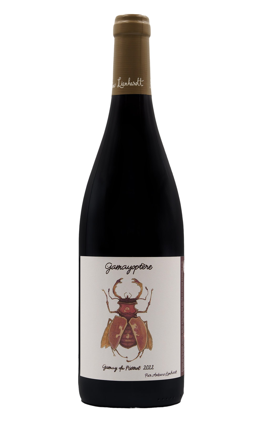 Domaine Antoine Lienhardt Coteaux Bourguignons Gamayoptere Rouge 2022 安東 林恩哈特酒莊 布根地丘 加美 紅酒