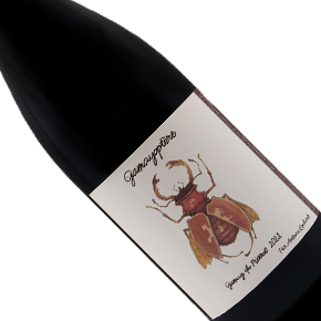 Domaine Antoine Lienhardt-Coteaux Bourguignons "Gamayoptère" Rouge