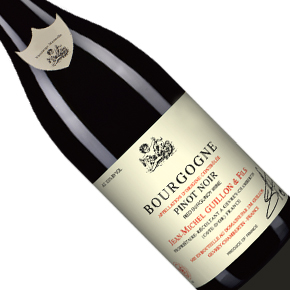 Jean-Michel Guillon & Fils-Bourgogne Pinot Noir